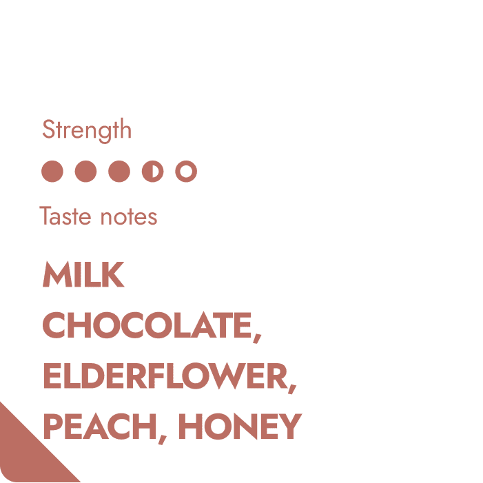 CAMPING COFFEE: Guatemala Finest Specialty Coffee Beutel | Brew Blend