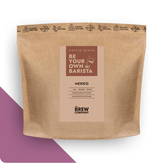 Mexico Specialty Coffee – Frisch geröstete Chiapas Hochland Bohnen