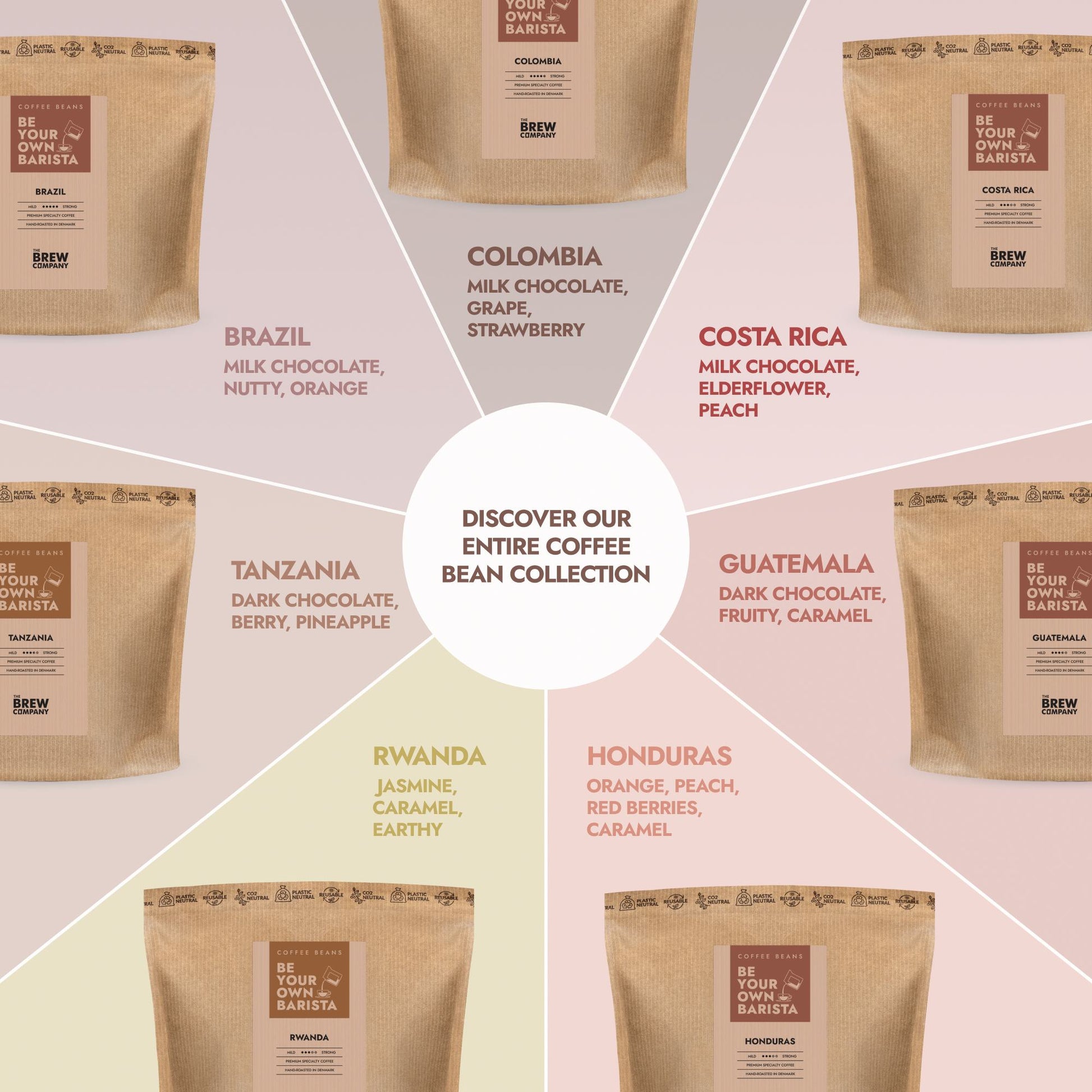 Kaffeebohnen mit Geschmacksrichtungen – Fruchtig, Nussig & Aromatisch entdecken (333g)-4