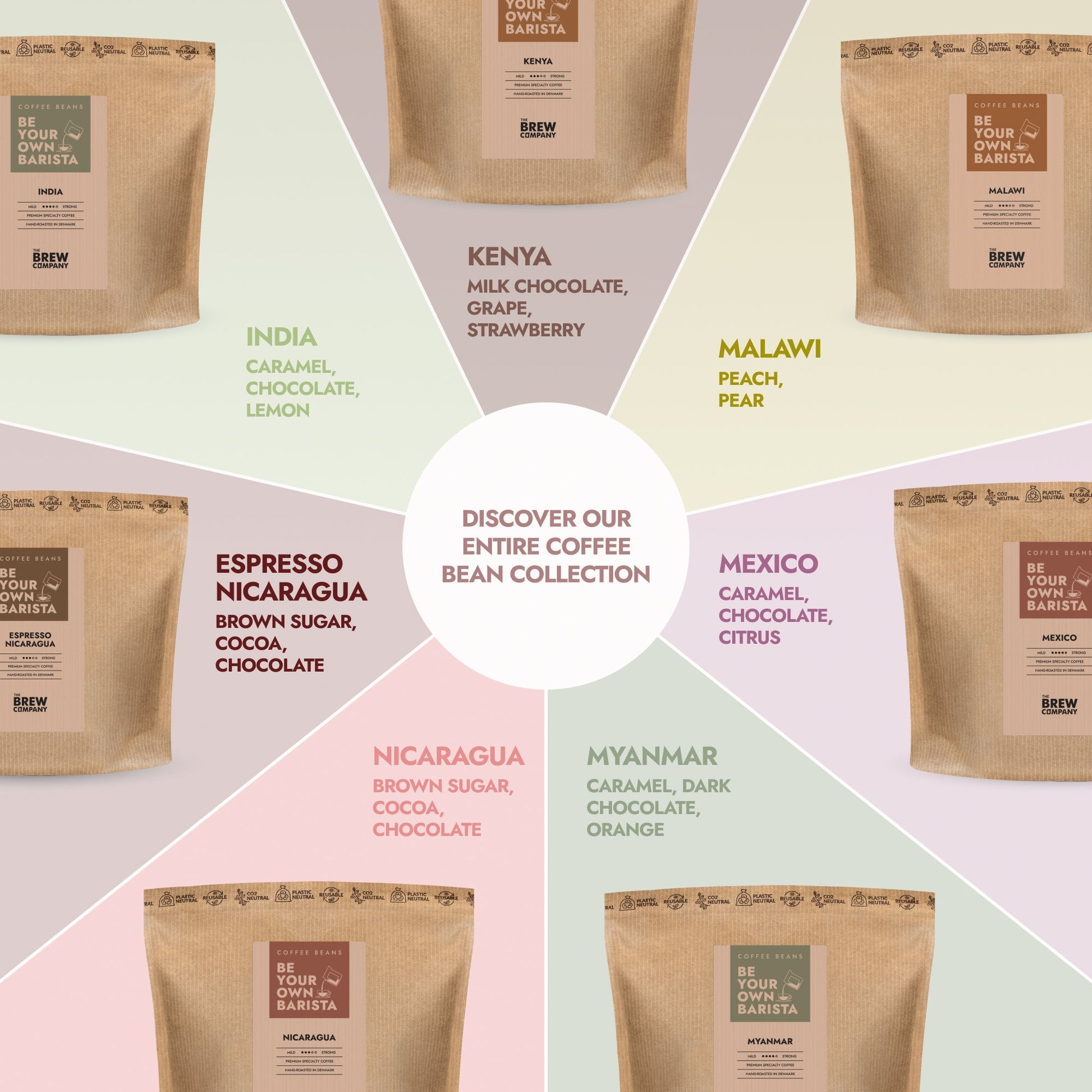 Kaffeebohnen mit Geschmacksrichtungen – Fruchtig, Nussig & Aromatisch entdecken (333g)-6