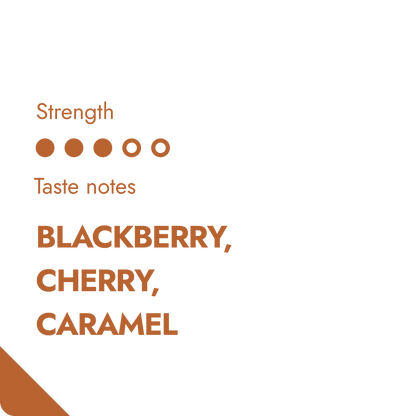 Röstfrische Kaffee Bohnen aus Kenia Detailansicht