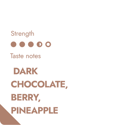 TANZANIA SPECIALTY COFFEE BEANS-1